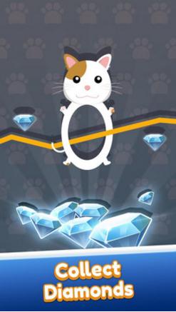 动物圆圈跳跃图3