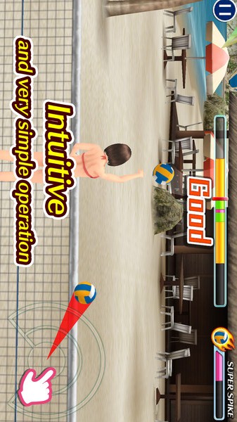 天堂沙滩：拍球与比基尼图3