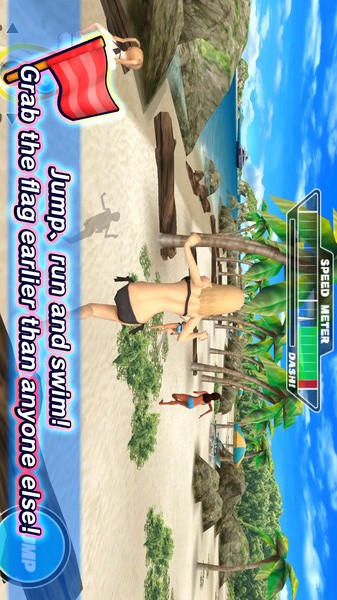 天堂沙滩：旗与比基尼图4