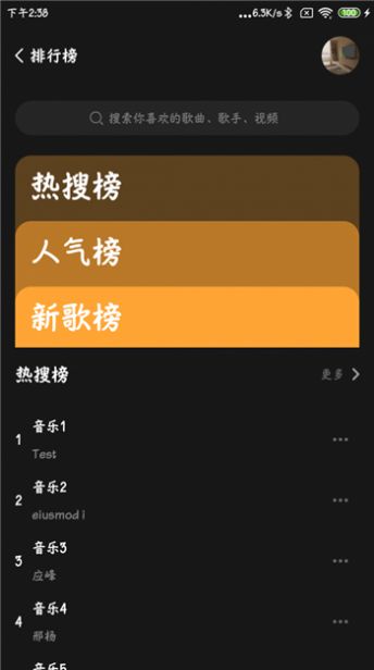 涯悠音乐图4