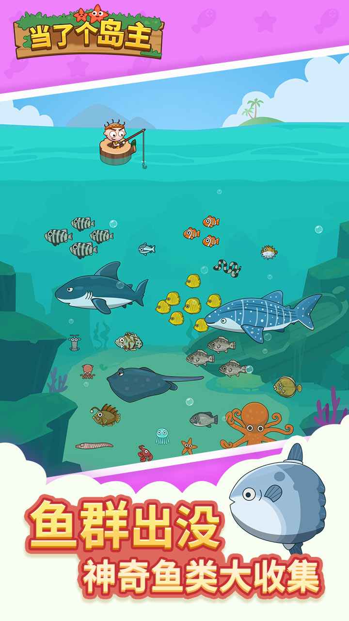 当了个岛主图3