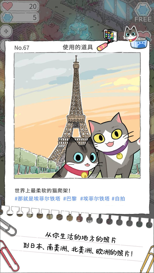 猫友圈猫咪的旅行图3