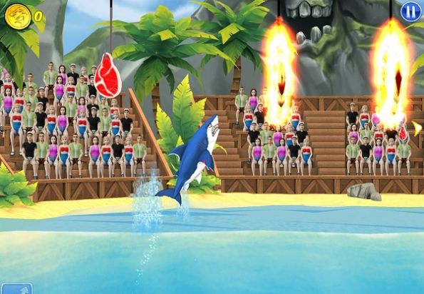 我的鲨鱼表演图2