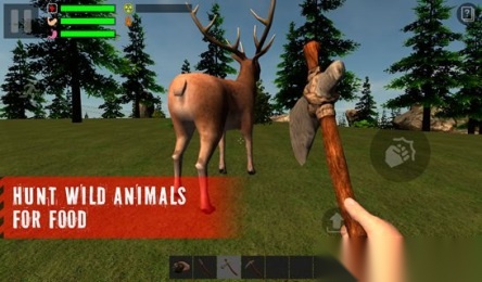 幸存者遗忘的森林图4