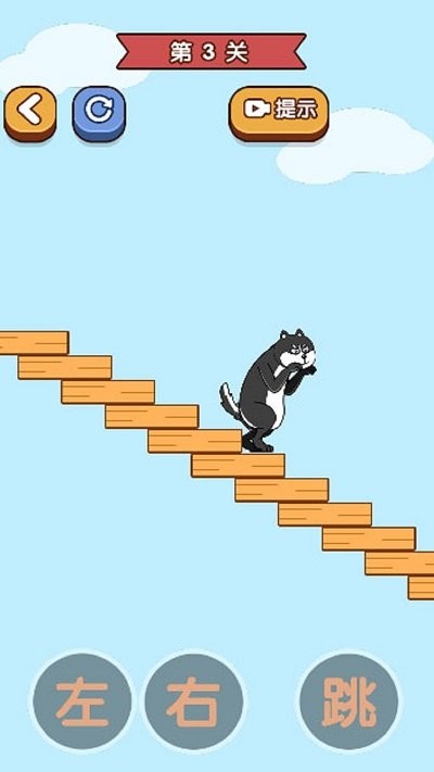 帮助狗狗回家图2