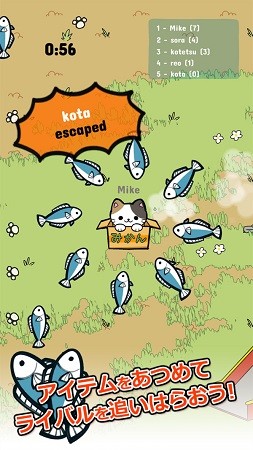 公园里的野猫图3