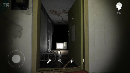 孙美琪疑案:王勇图2