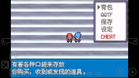 口袋妖怪永恒之焱图2