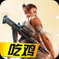 吃鸡战场精英