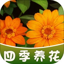 四季养花