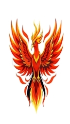 火焰鸟图3