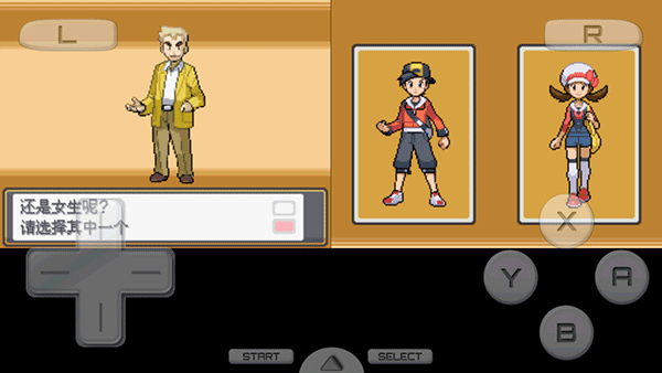 口袋妖怪心金图1