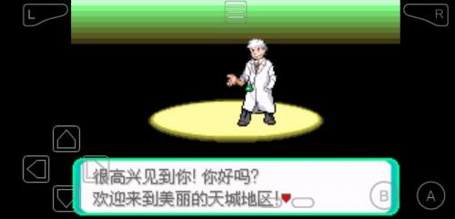 口袋妖怪黑暗之火汉化版图2