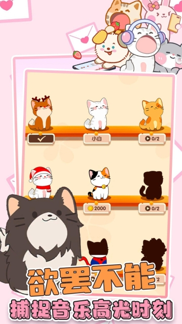 猫咪音乐双重奏图1