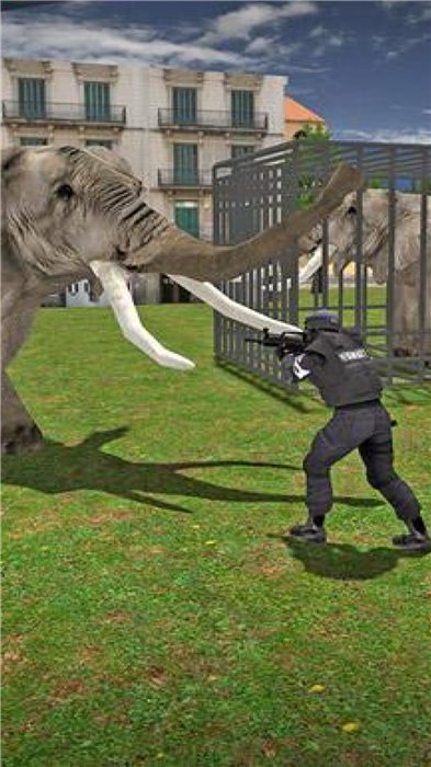 大象的复仇袭击图2