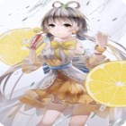 口袋妖怪圣灰汉化最终版