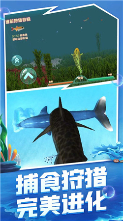 海洋霸主进化记图2