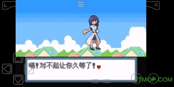 口袋妖怪白金光2汉化版图2