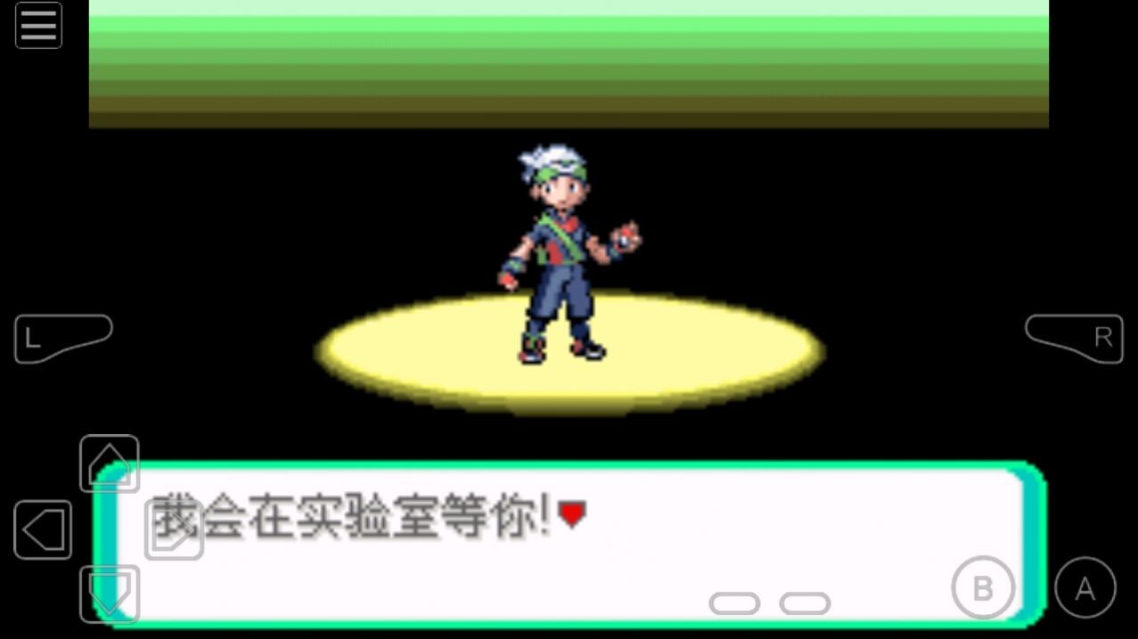 口袋妖怪rogue图1