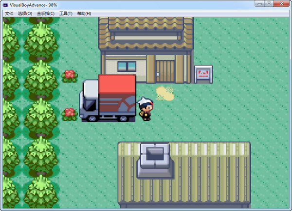 口袋妖怪蓝宝石中文版图3