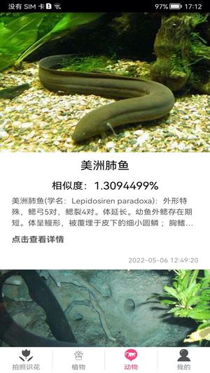 拍照识花神器图3