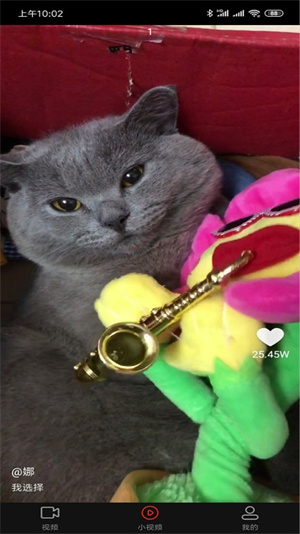 拍呱呱短视频图1