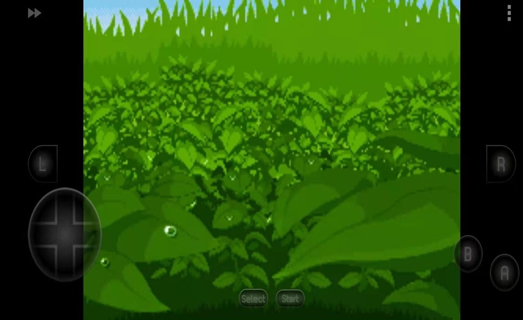 口袋妖怪究极绿宝石5图1