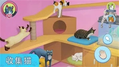 我的宠物猫模拟器图3