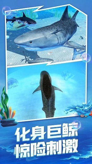 海底生存大猎杀图2