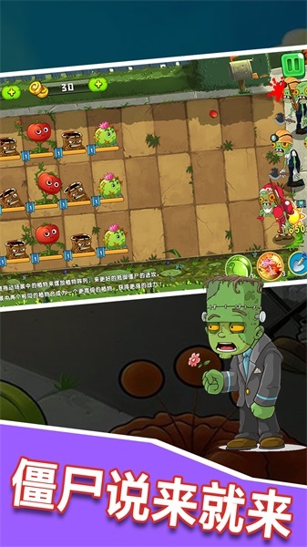 植物僵尸大作战图5
