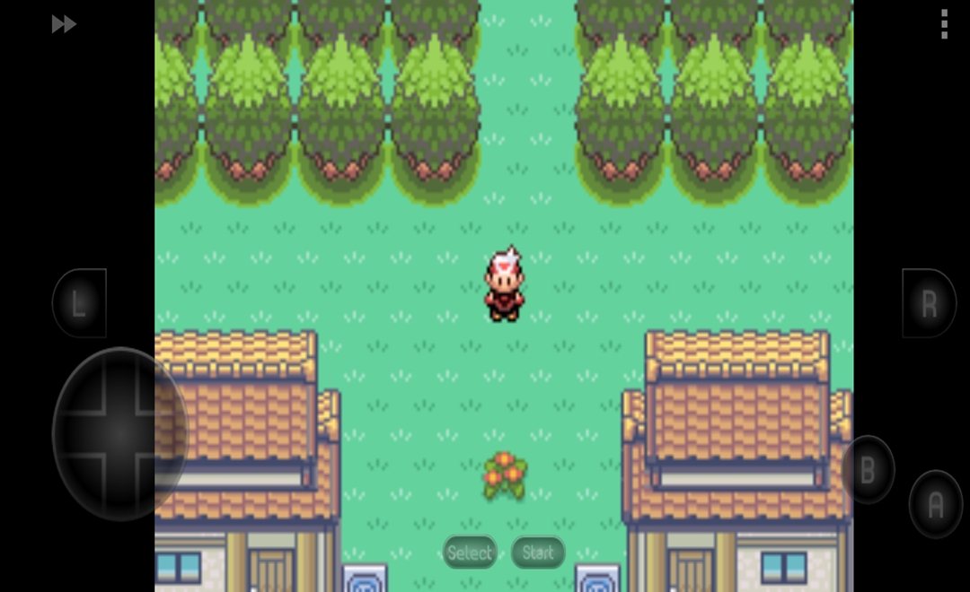 口袋妖怪究极绿宝石3图1