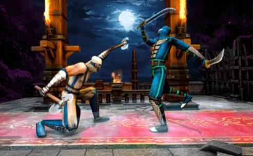 功夫忍者战斗图2