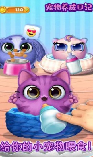 宠物养成日记图2