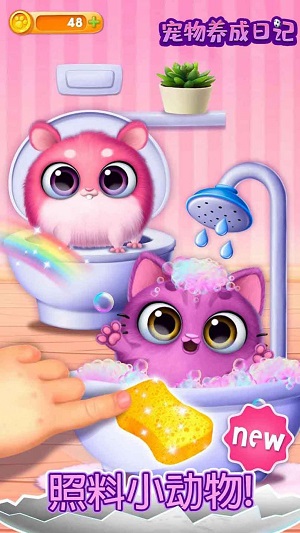 宠物养成日记图3