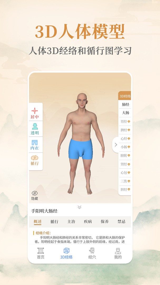 经络穴位标准指南图3