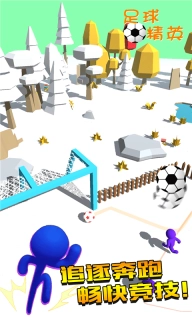 足球精英图2