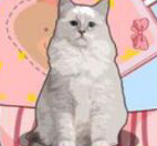 解压收纳神器 V1.0