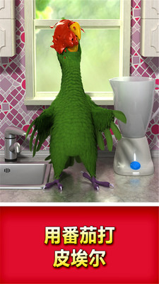 会说话的鹦鹉图1