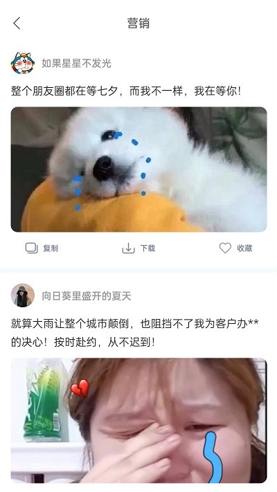 朋友圈文案精品句子图1