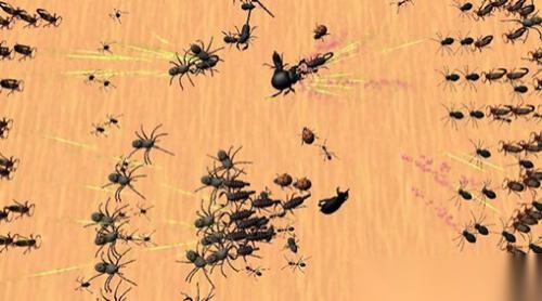 异国昆虫大军图2