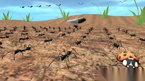 异国昆虫大军图1