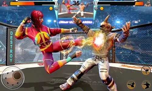 功夫格斗大师图2