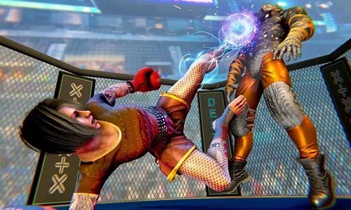 功夫格斗大师图5