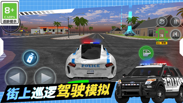 警察抓捕行动图1