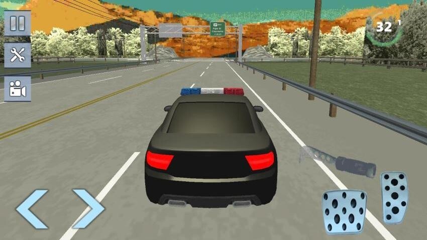 真实警车追逐图2