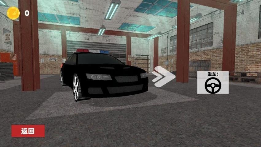 真实警车追逐图3