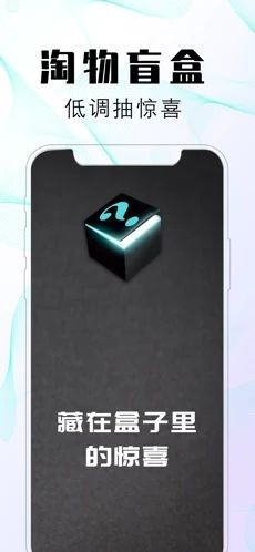 淘物盲盒图3