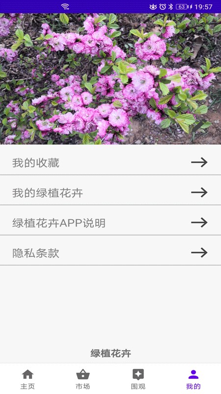 绿植花卉最新版图2