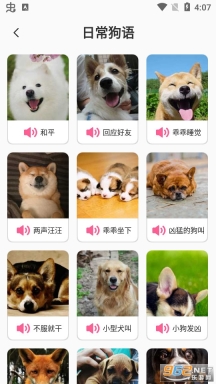 狗语翻译工具图4