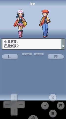 口袋妖怪珍珠nds版图1